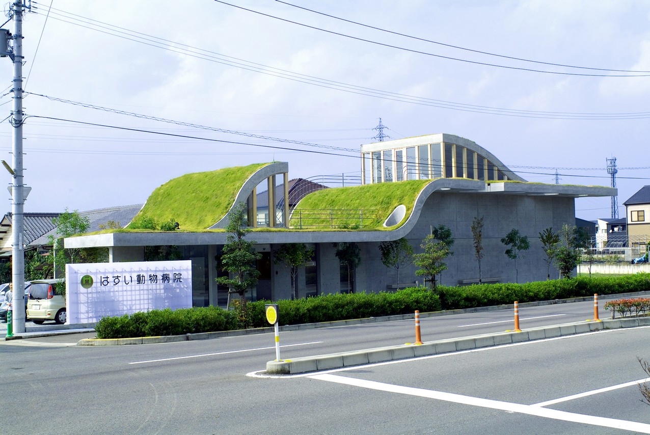 はすい動物病院